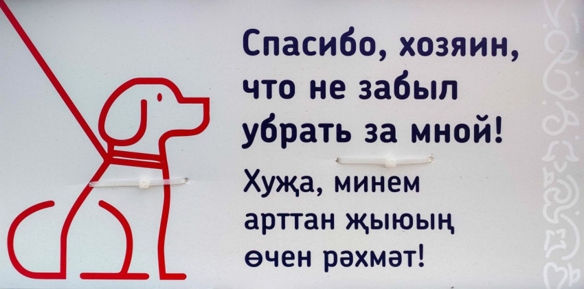 Наклейка с призывом убирать за собакой