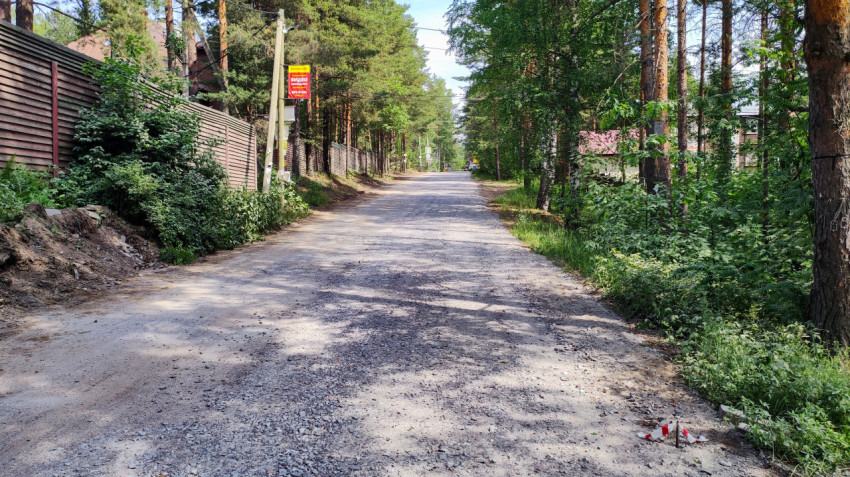 Загородная дорога с гравийным покрытием вдоль лесного массива