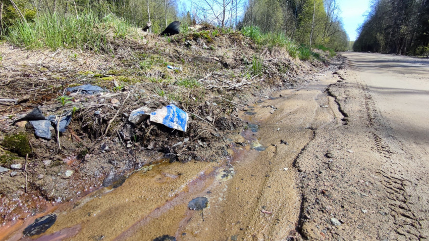 Весенний заболоченный участок у кромки леса