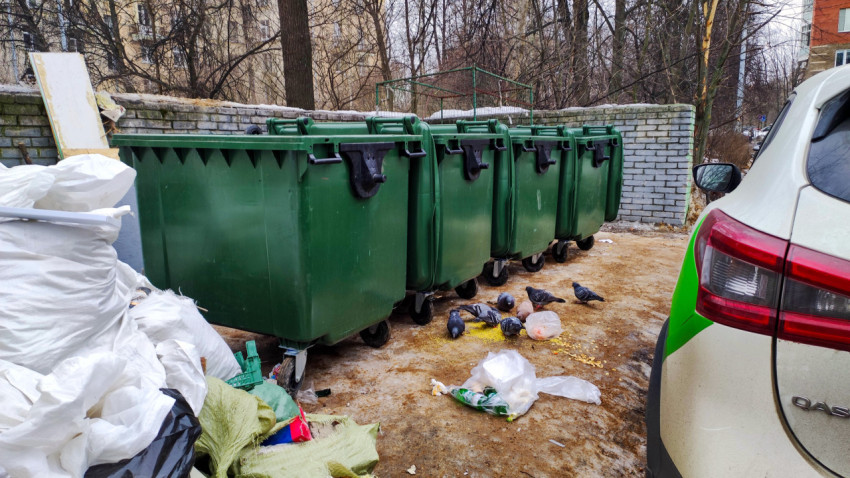 Голуби у мусорных контейнеров