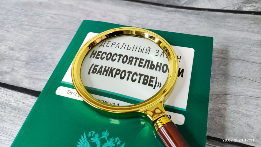 Федеральный закон о банкротстве под увеличительным стеклом