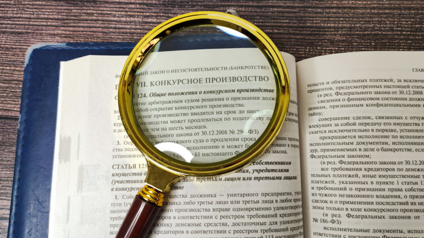 Конкурсное производство в тексте закона под увеличительным стеклом