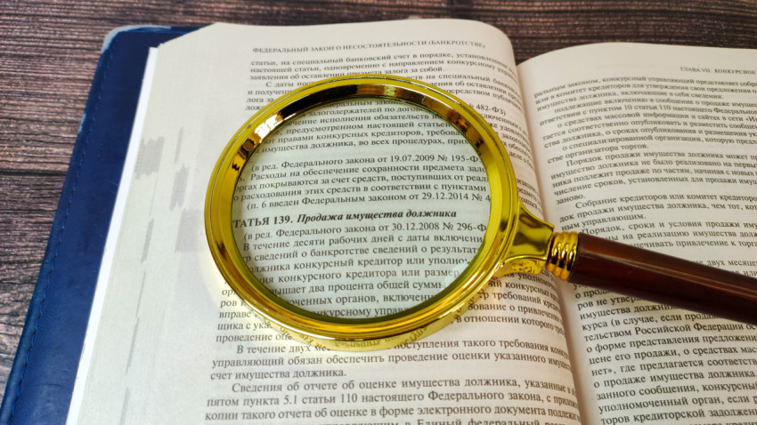 Продажа имущества должника в законе под лупой