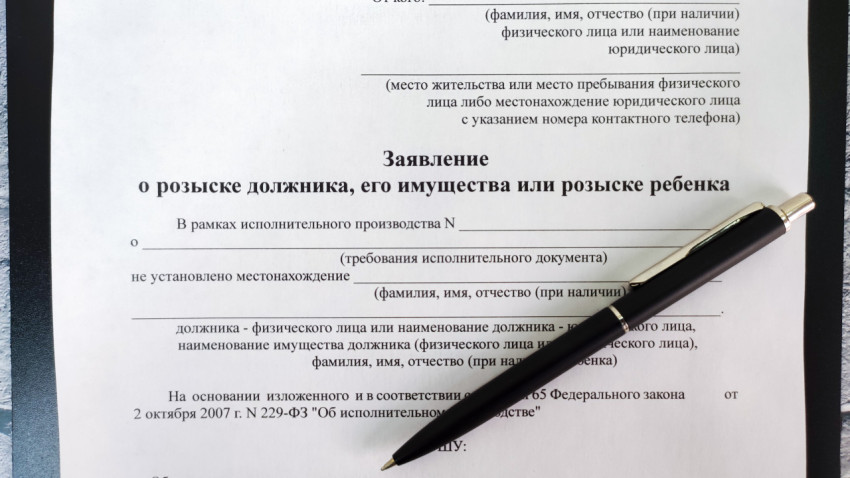 Заявление о розыске должника и имущества в рамках исполнительного производства