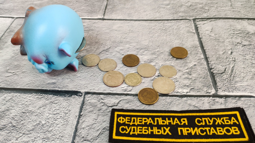 Синяя копилка и монеты рядом с шевроном ФССП