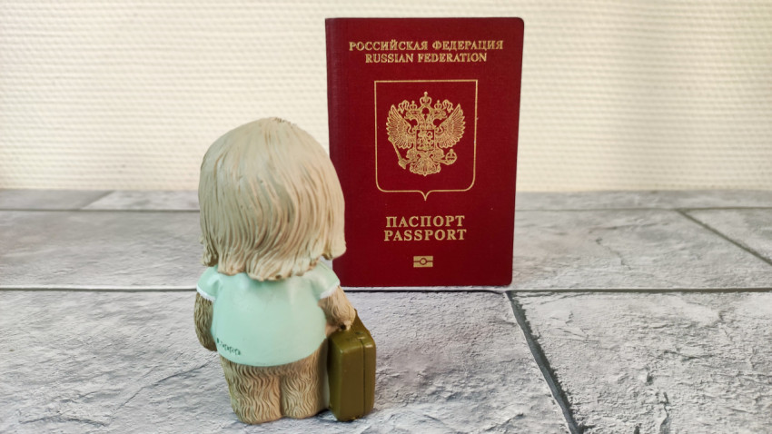 Фигурка ленивца с чемоданом напротив паспорта РФ на плитке