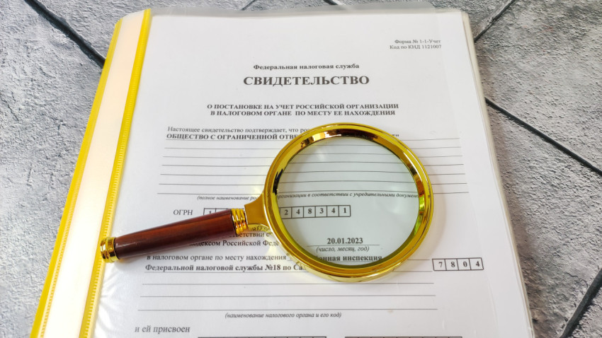 Свидетельство ФНС с лупой в жёлтой папке