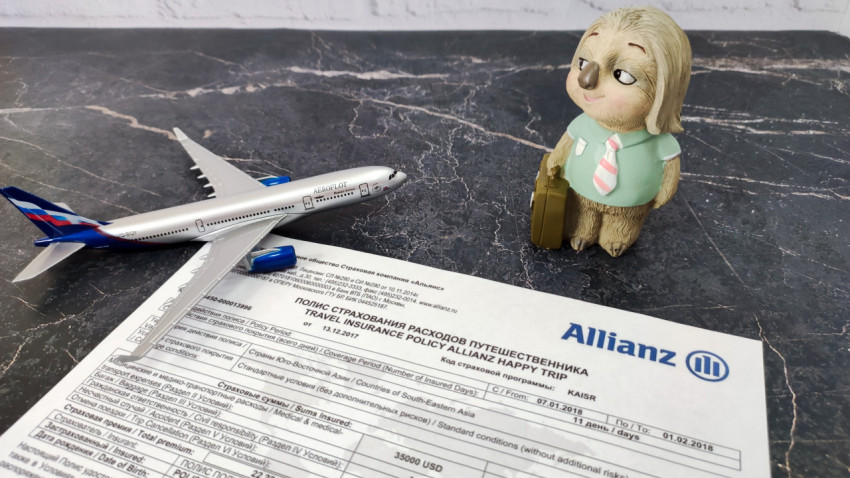 Полис Allianz с самолетом и фигуркой ленивца на фоне