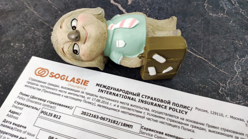 Ленивец с чемоданом на фоне полиса Согласие