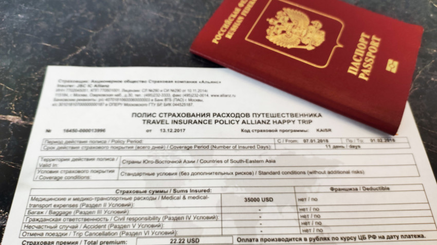 Страховой полис Allianz и заграничный паспорт крупным планом