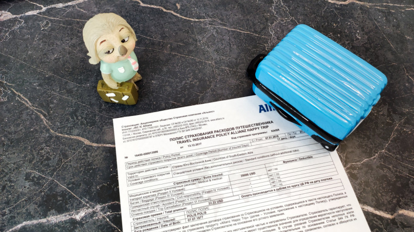 Полис Allianz с чемоданом и фигуркой ленивца