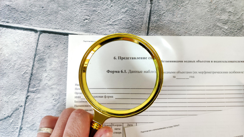 Текст формы 6.1 по водопользованию под лупой