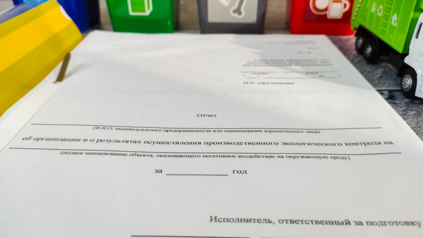 Форма отчета о производственном экологическом контроле