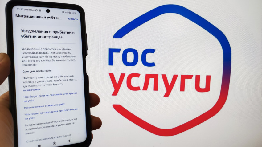 Смартфон с разделом уведомлений о прибытии иностранцев на фоне логотипа Госуслуг