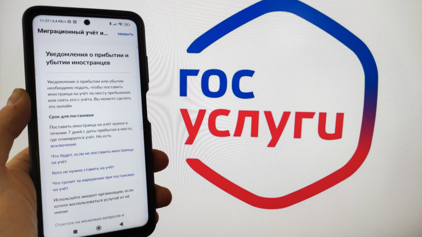 Экран смартфона с разделом миграционного учета на портале Госуслуг