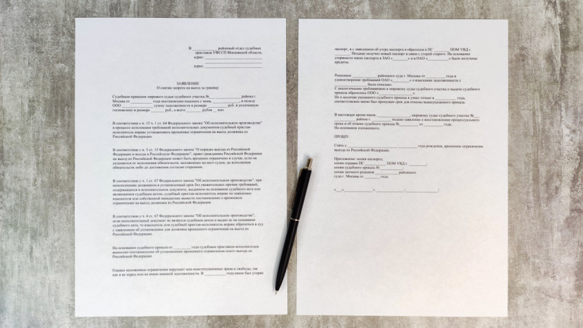 Заявление в суд о снятии запрета на выезд и выдачу загранпаспорта