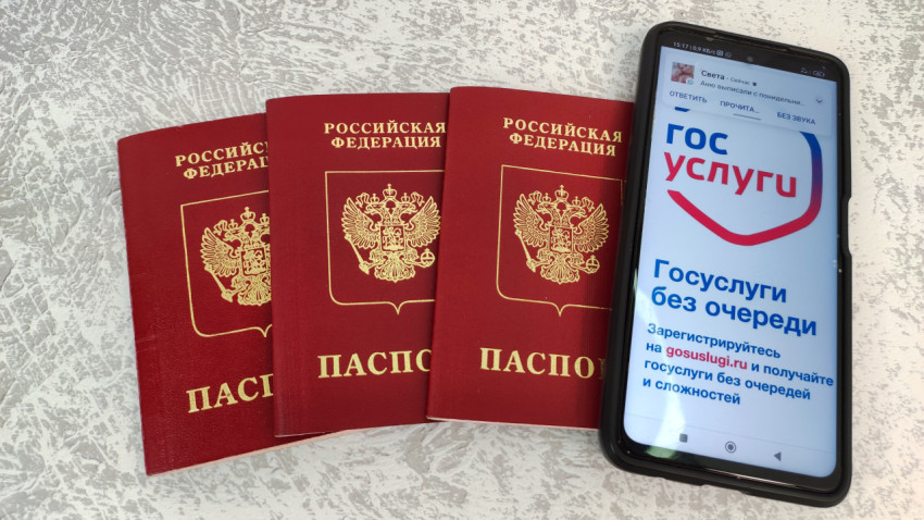 Несколько загранпаспортов РФ и смартфон с «Госуслуги»