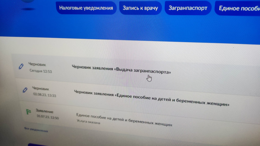 Черновик заявления на загранпаспорт на портале Госуслуг