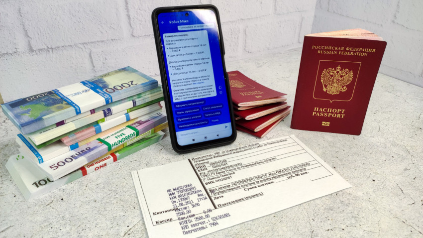 Госуслуги, паспорта и квитанция об оплате госпошлины