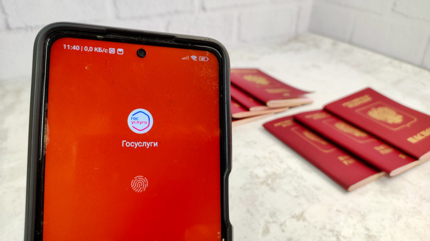Смартфон с приложением Госуслуги и несколько загранпаспортов РФ