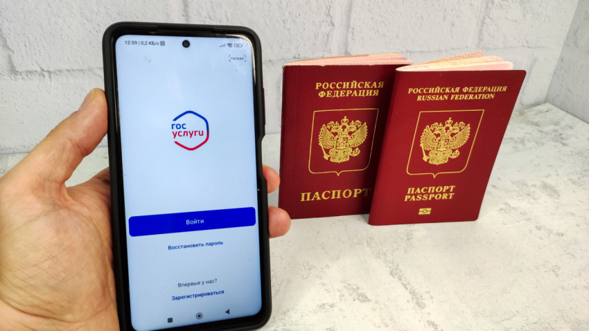 Смартфон с приложением Госуслуги и загранпаспорта на фоне