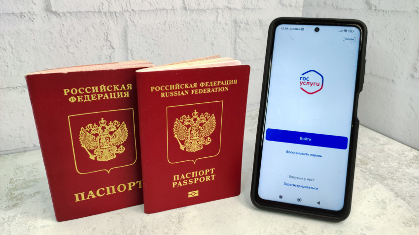 Два загранпаспорта РФ и смартфон с приложением Госуслуги