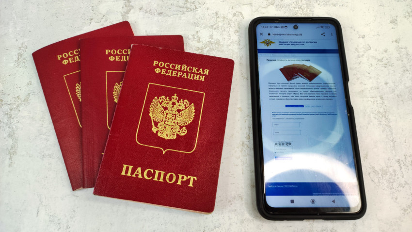 Три загранпаспорта РФ и смартфон с проверкой готовности документа