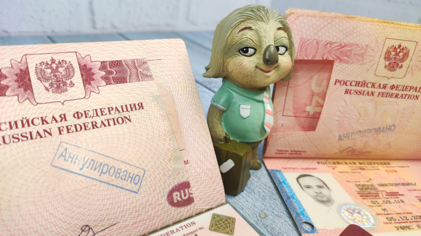 Аннулированные загранпаспорта РФ и фигурка ленивца