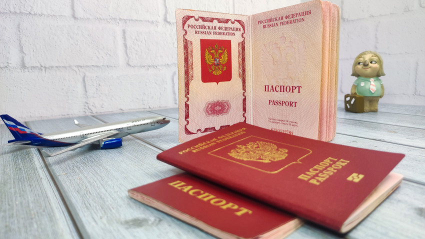 Загранпаспорта РФ, модель самолета и фигурка ленивца