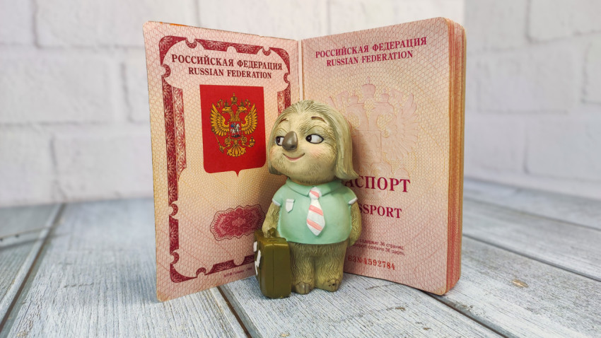 Загранпаспорт РФ и фигурка ленивца с чемоданом
