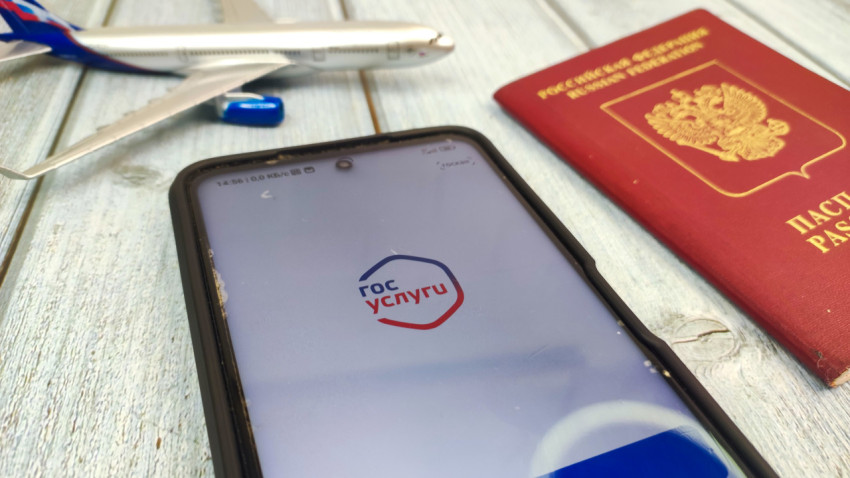 Смартфон с приложением Госуслуги и загранпаспорт РФ