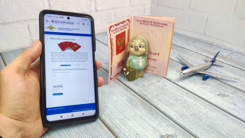Проверка готовности загранпаспорта через сайт МВД России
