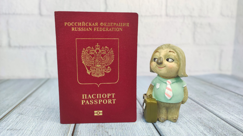 Заграничный паспорт Российской Федерации и фигурка ленивца с чемоданом