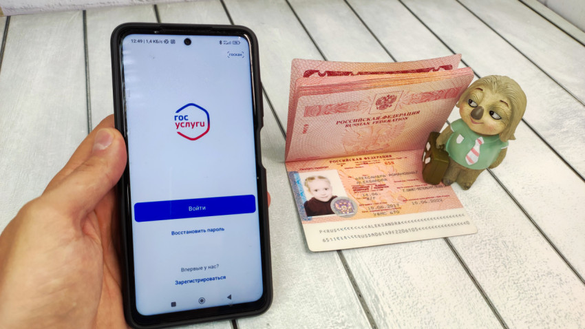Смартфон с открытым приложением «Госуслуги» и заграничный паспорт Российской Федерации