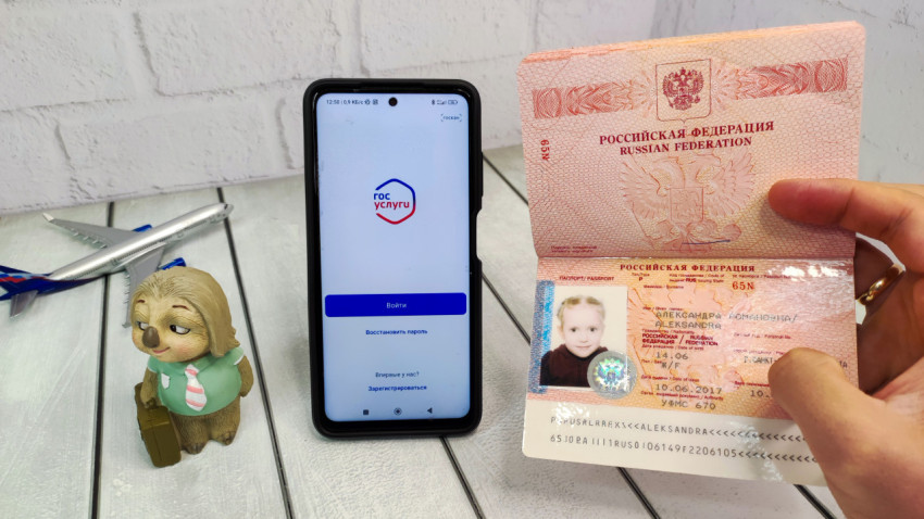 Смартфон с приложением Госуслуги и российский загранпаспорт