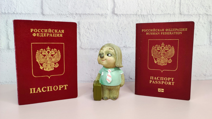 Загранпаспорта РФ старого и нового образца с фигуркой-талисманом