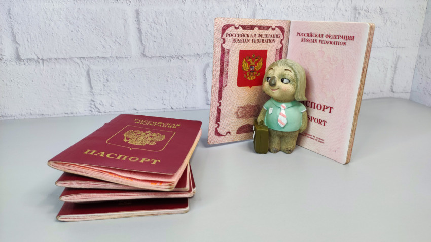 Несколько заграничных паспортов РФ и фигурка с чемоданом