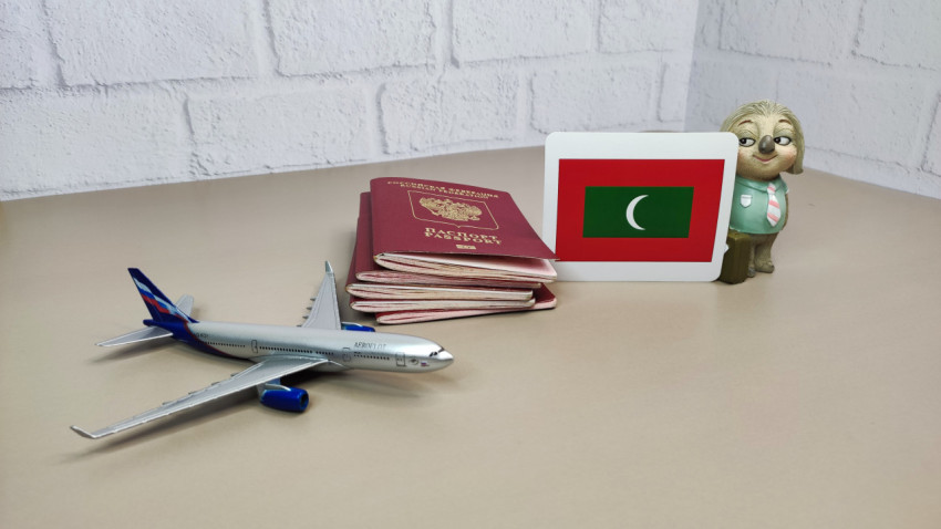 Загранпаспорта РФ, флаг Мальдив и модель самолёта