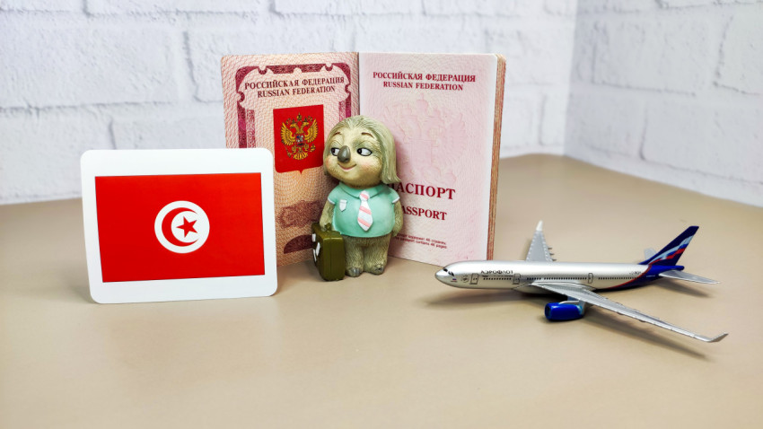 Загранпаспорта РФ, флаг Туниса и модель самолёта
