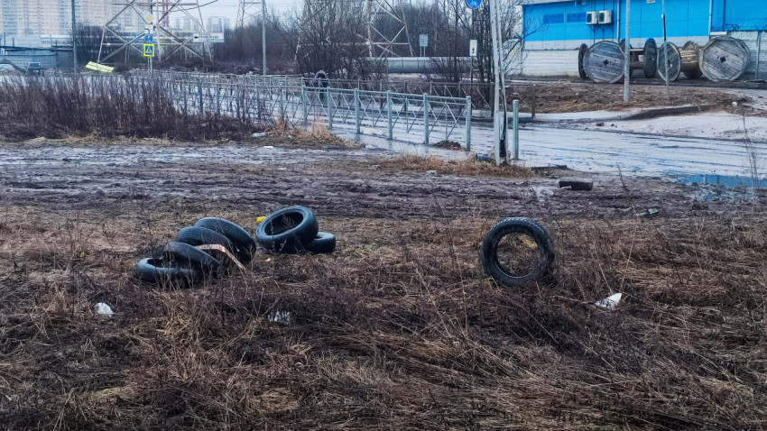 Выброшенные автомобильные шины у обочины дороги