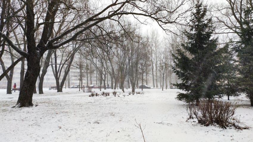 Заснеженный городской парк с деревьями и кустарником