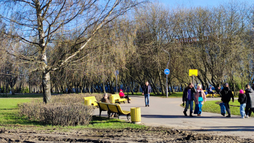 Пешеходная аллея с жёлтыми скамейками и людьми в весеннем парке