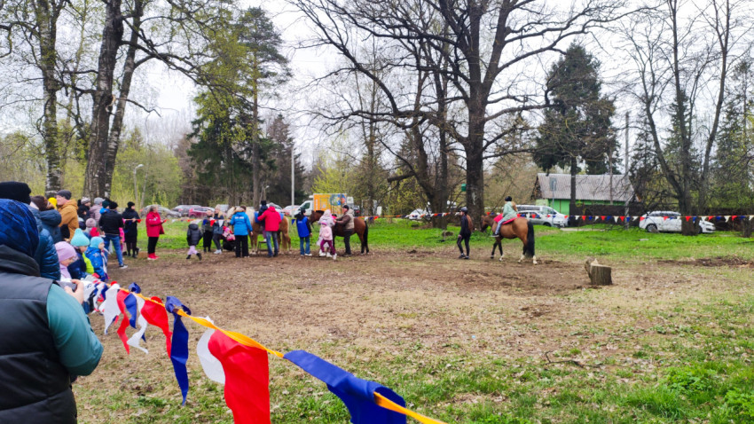 Люди и лошади на площадке для катания в парке