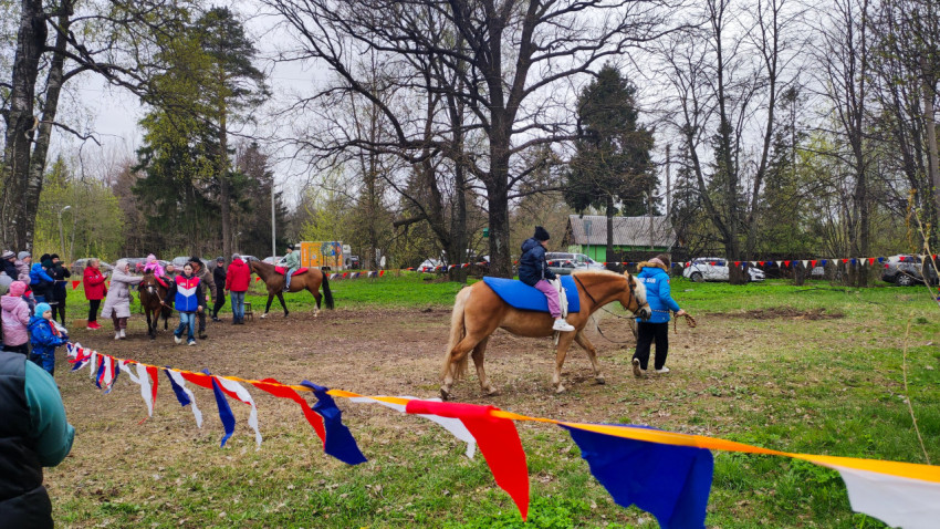 Катание детей на пони в парковой зоне