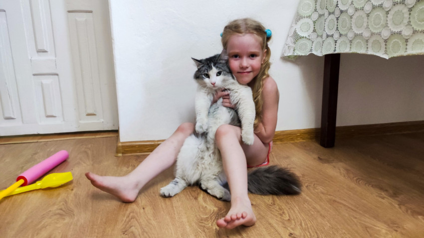 Девочка держит домашнего кота в интерьере дома