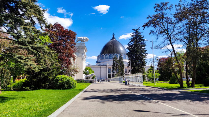 Аллея ВДНХ с видом на павильон «Мясная промышленность» и павильон №34