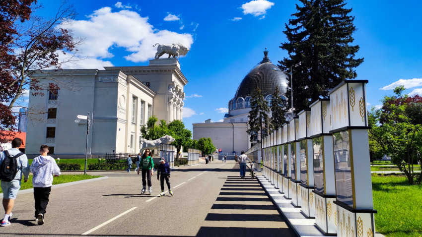 Пешеходная зона у павильона «Мясная промышленность» и павильона №34 ВДНХ