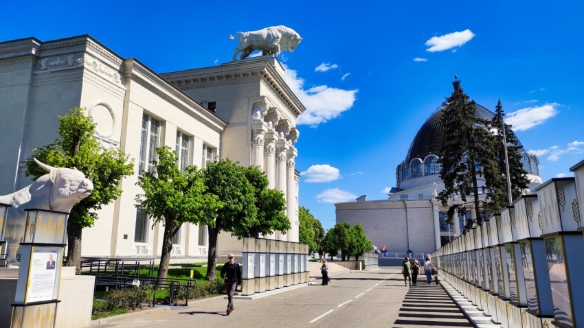 Аллея ВДНХ с павильоном «Мясная промышленность» и куполом павильона №34