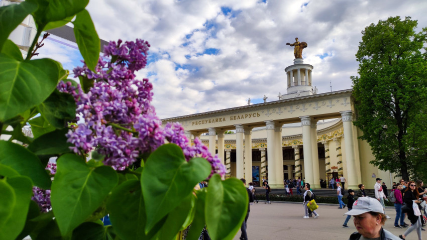Цветущая сирень на фоне павильона «Республика Беларусь»