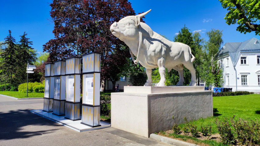 Скульптура быка у павильона «Мясная промышленность» на ВДНХ